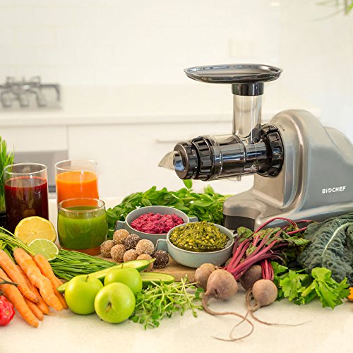 BioChef Axis Cold Press Juicer - Extractor de zumo horizontal, Procesador de alimentos, BPA Free y Silencioso. 20 Años de Garantía (Plata)