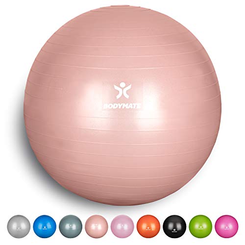 BODYMATE Pelota de Ejercicio para Fitnes | con bombín y Libro electrónico | Sistema Antideslizante