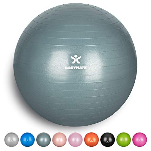 BODYMATE Pelota de Ejercicio para Fitnes | con bombín y Libro electrónico | Sistema Antideslizante