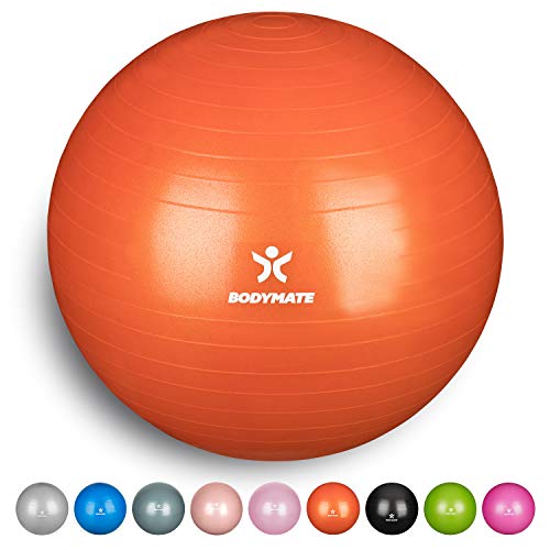 BODYMATE Pelota de Ejercicio para Fitnes | con bombín y Libro electrónico | Sistema Antideslizante