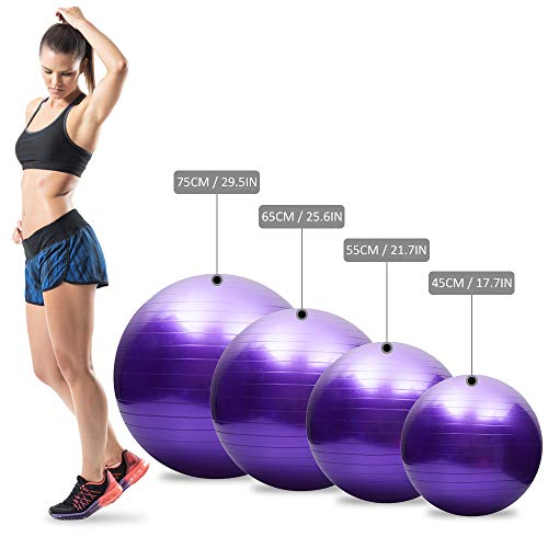 Bola de Yoga Anti-Explosión Bola de Equilibrio de Estabilidad Espesa Pilates Barre Fitness Fitness Bola de Ejercicio 45CM / 55CM / 65CM / 75CM Bomba de Aire de Aegalo