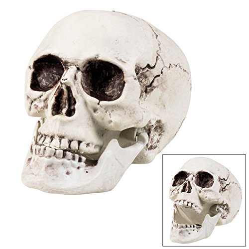 Boland, 74362 - Calavera decorativa con mandíbula abatible, blanco