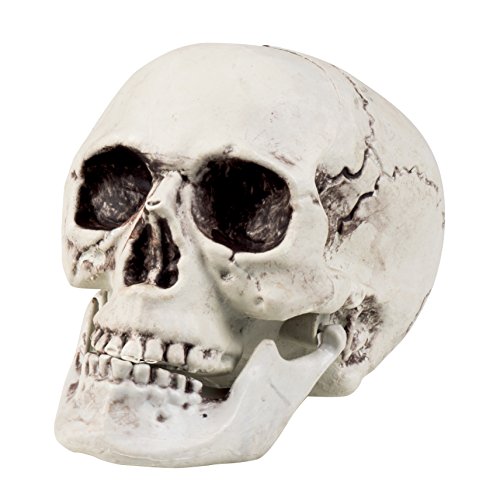 Boland, 74362 - Calavera decorativa con mandíbula abatible, blanco