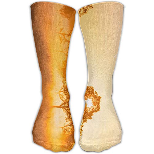 Calcetines clásicos unisex James Mills Sunlight Gold Orange Nature Athletic Medias Calcetín largo Talla única 30 cm