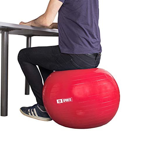 Calma Dragon Pelota de Pilates 55cm / 65cm / 75cm Diámetro, Balón para Embarazadas, Fitball, con Inflador Incluido, Bola Grande para Yoga, Gimnasia, Fitness (Negro, 65)