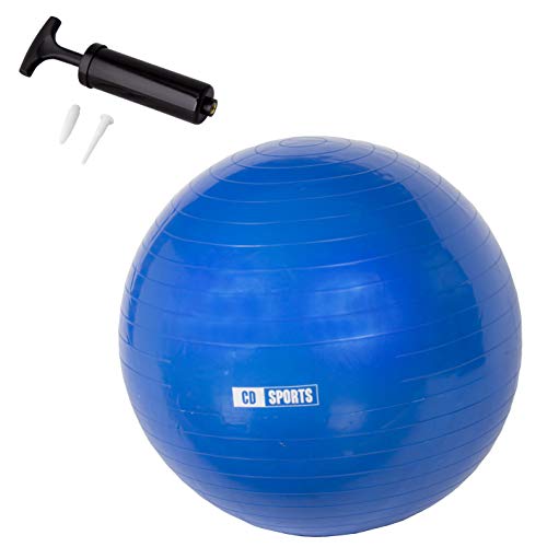 Calma Dragon Pelota de Pilates 55cm / 65cm / 75cm Diámetro, Balón para Embarazadas, Fitball, con Inflador Incluido, Bola Grande para Yoga, Gimnasia, Fitness (Negro, 65)