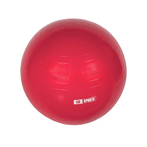 Calma Dragon Pelota de Pilates 55cm / 65cm / 75cm Diámetro, Balón para Embarazadas, Fitball, con Inflador Incluido, Bola Grande para Yoga, Gimnasia, Fitness (Negro, 65)