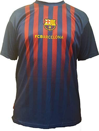 Camiseta de Fútbol Lionel Leo Messi 10 Barcelona Barça Home Temporada 2018-2019 Replica Oficial con Licencia - Todos Los Tamaños NIÑO y Adulto (XXL Extra Extra Large)