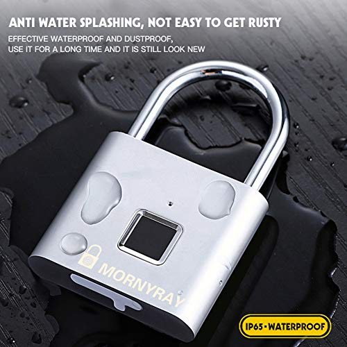 Candado Huella Dactilar Seguridad, Cerradura Electronica Sin Llave Inteligente IP65 Candado Recargable USB Antirrobo Prueba de Agua para Armario Escolar, Gimnasio, Puerta, Gabinete, Maleta (Plata)