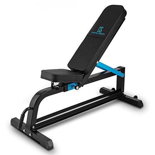 CapitalSports Adjustar Banco de Entrenamiento Adaptable (Peso máximo soportado 300kg, Varios Niveles de Apoyo Ajustables, Asiento Regulable, Cuero sintético alcochado 5cm, Acero Negro)