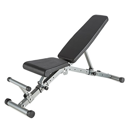 CapitalSports Flaptor Banco de Entrenamiento Plegable (Antideslizante, 21 Posiciones, Asiento y Respaldo Regulable, fácil de Guardar) - Plata