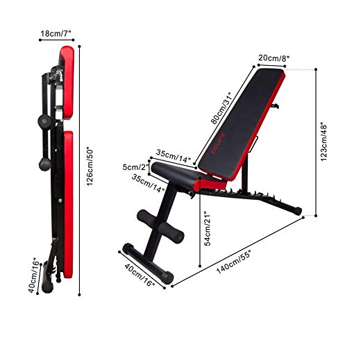 CCLIFE Banco de Musculación Multiposición Banco de Fitness o de Abdominales Ajustable,Plegable y Resistente a una Carga máxima de 600 kg, Color:Negro-021