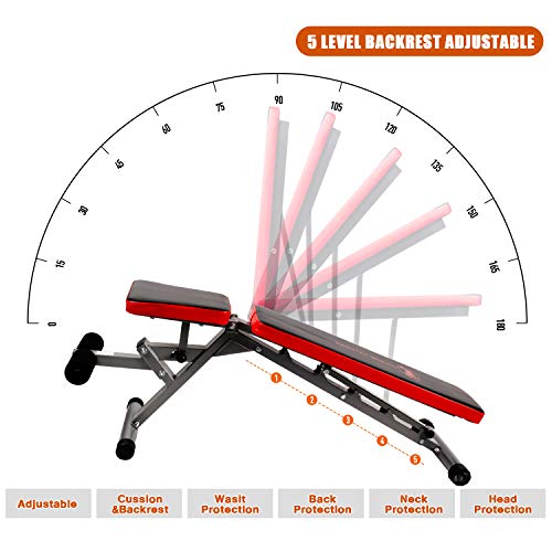 CCLIFE Banco de musculación Regulable, Color:DHNTL003A0000rot
