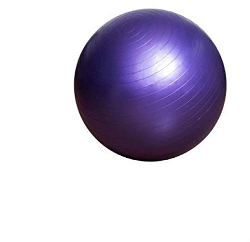 Chunhe - Bomba de aire profesional para entrenamiento de yoga, rehabilitación, sistema de detección del cerebro, balón de jaula grande, morado
