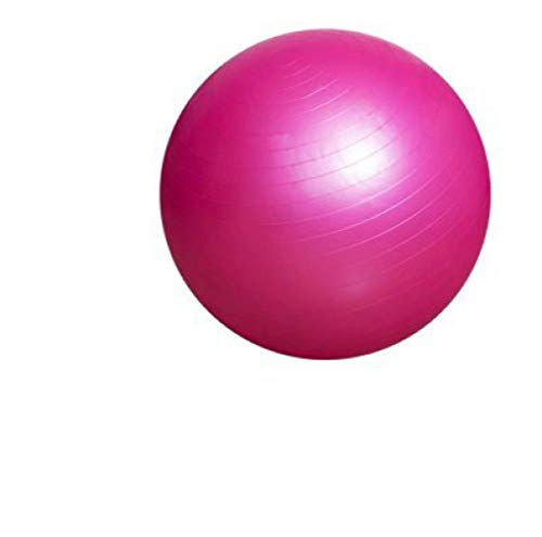 Chunhe - Bomba de aire profesional para entrenamiento de yoga, rehabilitación, sistema de detección del cerebro, balón de jaula grande, rosa