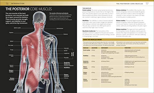 Core Strength Training: The Complete Step-by-Step Guide to a Stronger Body and Better Posture for Men and Women (Dk Sports & Activities)