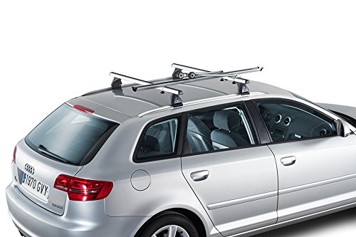 Cruzber 399940005 Bike-Rack G Doble Pomo C/Antirrobo, Gris