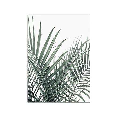 Cuadro en lienzo Cartel de hoja de palma Monstera Nordic Wall Art Prints Planta Imagen moderna Sala de estar Decoración para el hogar-40x50cm (15.7"x19.7") x3Con marco