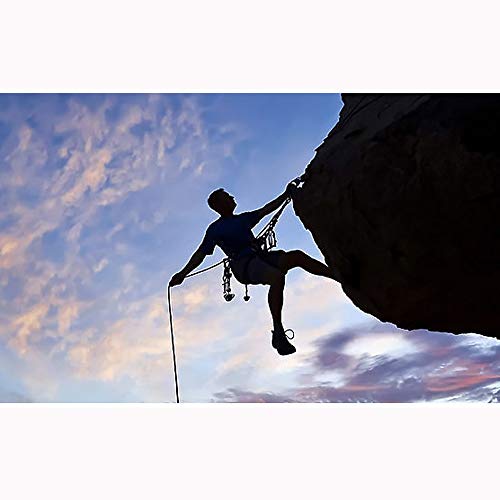 Cuerda de Escalada 9.5MM al Aire Libre Cuerda de Escalada Cuerda de Escape Diámetro del Cuerpo de Bomberos de excursión Subir la Cuerda Auxiliar (Color : Orange, Size : 9.5mm x 30m)