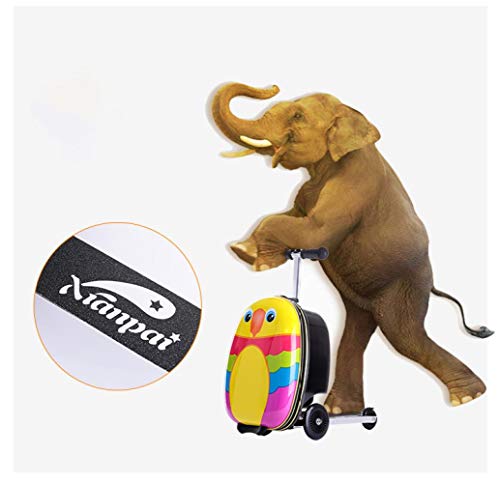 Cute Dibujos Animados niños Skateboard Rolling Luggage Spinner multifunción Girl Boys Maleta Ruedas Cargar Ons Trolley, Pirate Money