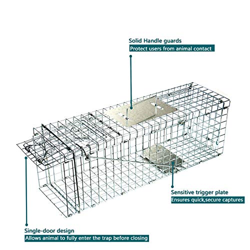 D4P Display4top Animal Trap Cage Trampa de Captura de Animales Vivos, Gatos, Perros, Conejos, roedores (79 x 28 x 33cm)