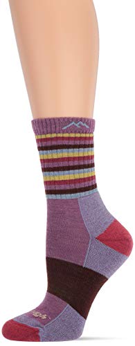 Darn Tough Vermont Merino Wool Micro Crew Stripes Cojín Calcetines Plum Stripe MD (US 7.5-9.5)