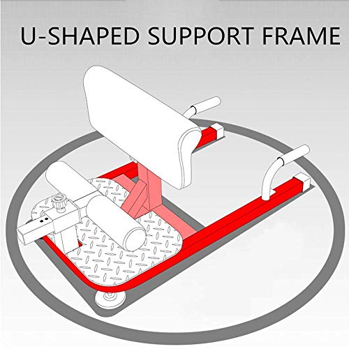 DBSCD Equipo de Entrenamiento físico, máquina de Sentadillas Sissy, máquina de Sentadillas multifunción para el hogar, 6 Engranajes Ajustables en Altura, Marco de Soporte en Forma de U