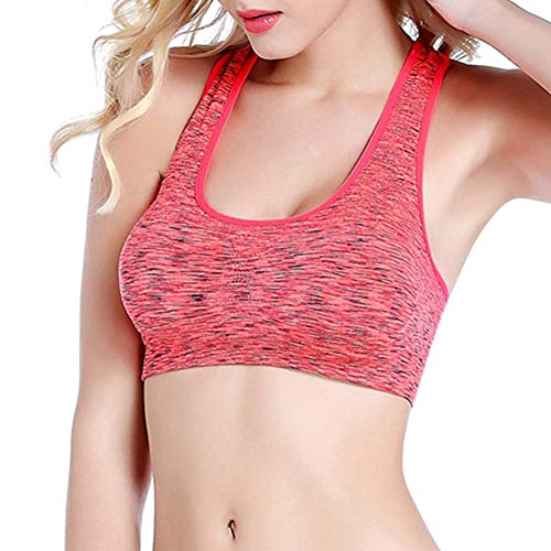 DEBAIJIA Mujer Shock Absorber Sujetador Deportivo Alto Impacto Sin Aros Running Yoga Aptitud Sujetador Push up Suave Respirable Rhodo-S