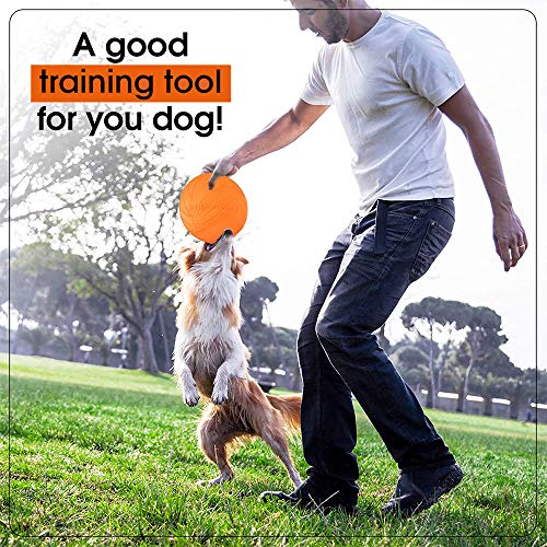 DERU Perros interactivos Frisbee, 2 Pcs Frisbee Perro, Juguete de Disco Volador para Perro, para Adiestramiento de Perros Juguetes de Tiro, Captura y Juego(Naranja,Verde)