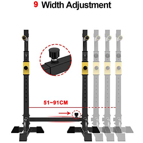 DFANCE Soporte para Sentadillas con Barra Ajustable en Rack 250 kg de Carga MáXima EstacióN de InmersióN Barbell Rack Dip Stand Banca Press Rack Entrenamiento de Fuerza Gimnasio en Casa Fitness