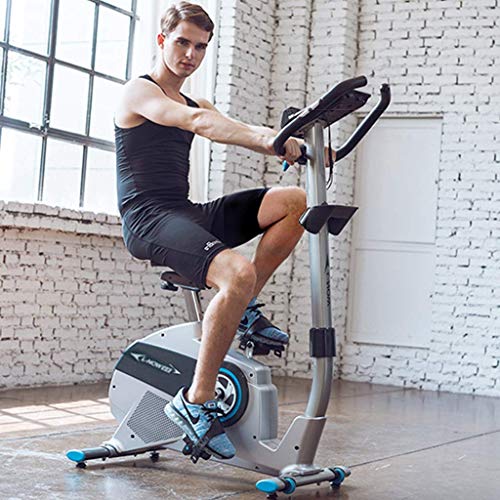 DFKDGL Exercise Bike Spinning Bicycle Mute Home Fitness Equipment Indoor Sports Bike for-Home-Gym-Workout-Routines-Training