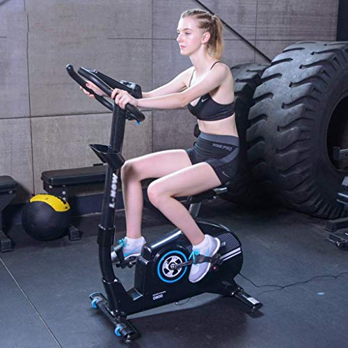 DFKDGL Exercise Bike Spinning Bicycle Mute Home Fitness Equipment Indoor Sports Bike for-Home-Gym-Workout-Routines-Training