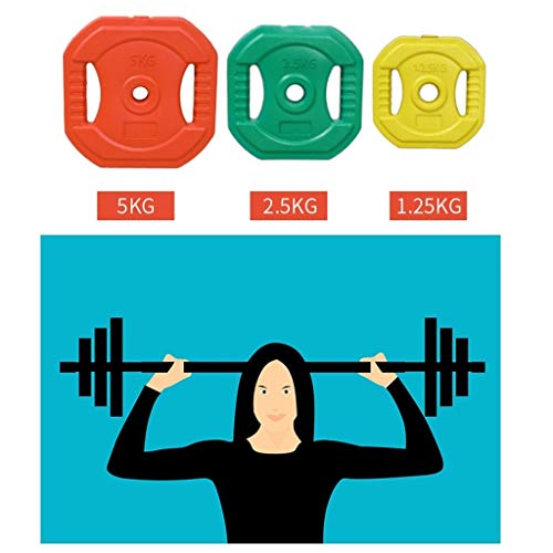 Discos de Pesas para Musculación Placas Olímpico fraccional Barbell estándar de 1 pulgada Grip Peso Placas, Placas de la pesa Barbell - Set de 2 pequeñas placas con barra mancuernas Peso Discos de Pes