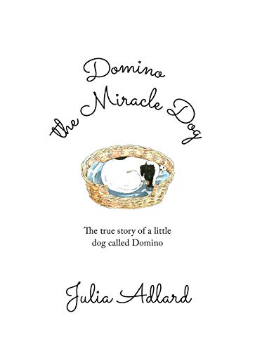 Domino the Miracle Dog: The true story of a little dog called Domino