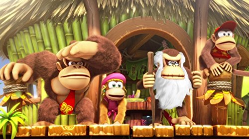 Donkey Kong Country: Tropical Freeze