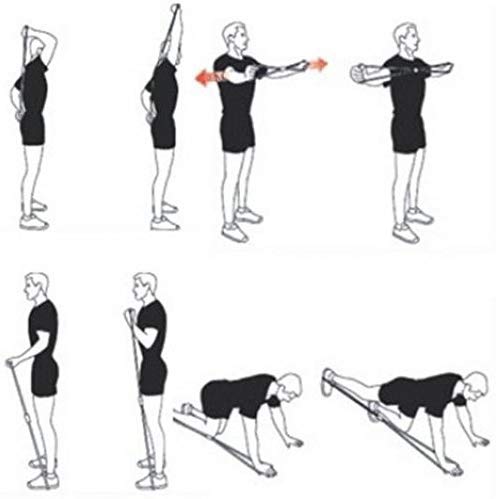 Ducomi Banda de Resistencia Elástica con Asas para Mujer y Hombre - Entrenamiento Funcional de Piernas, Glúteos y Brazos - Elástico para Deporte, Fitness, Crossfit, Gimnasio en Casa, Pilates, Yoga