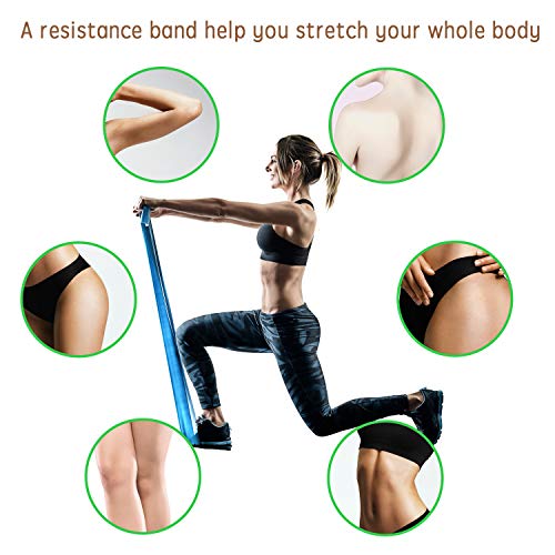 EKKONG Bandas Elásticas Set Bandas de Resistencia 6 Gomas Elasticas Gomas elasticas para Mujeres y Hombres, Pilates,Yoga,Rehabilitación,Estiramiento, Entrenamiento. (6set)