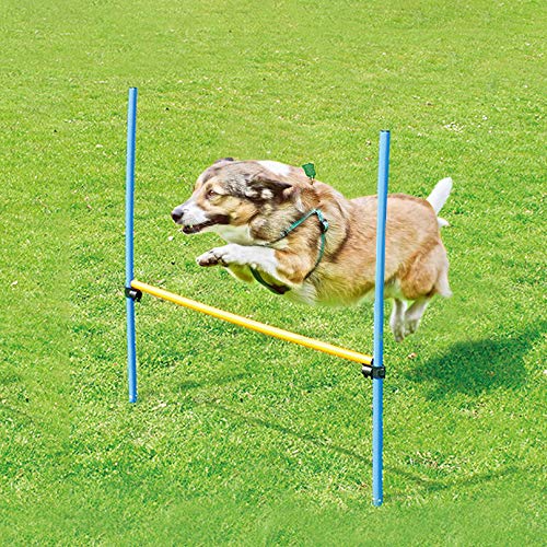 EONO Essentials - Equipo de Entrenamiento para Ejercicios de Agilidad de Salto de Vallas para Perros, Juegos al Aire Libre