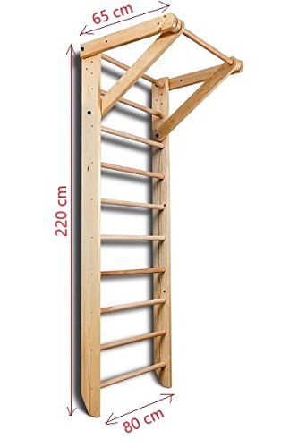 Escalera Sueca Sport-1-220 Espaldera para Gimnasio, Espaldera de Fitness, Complejo Deportivo de Gimnasia, Gimnasia de los niños en casa, Barras