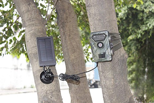 Express Panda® El panel solar 2500 mah batería solar del cargador para las cámaras de la caza y del juego del rastro