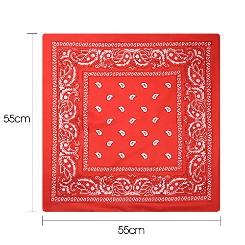 FEPITO 10 Piezas Paisley Bandanas Pañuelos de Vaquero Surtidos Unisex Novedad Estampado de la Cabeza Envoltura Bufanda Pulsera para Adultos y niños (10 Colores)