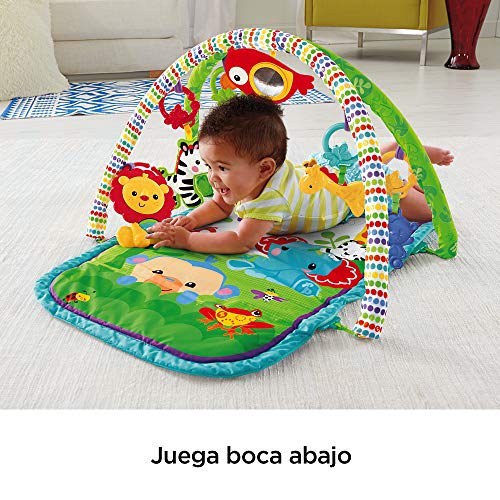 Fisher-Price - Gimnasio musical animalitos - gimnasios bebe - (Mattel CHP85)