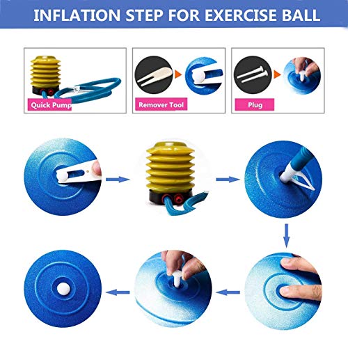 Fitness Pelota de Ejercicio - Bola Suiza con Bomba de Inflado ,Bola de yoga antirrebote y antideslizante ,Bola de equilibrio para gimnasio Pilates Gimnasio de yoga (65 cm,Púrpura)