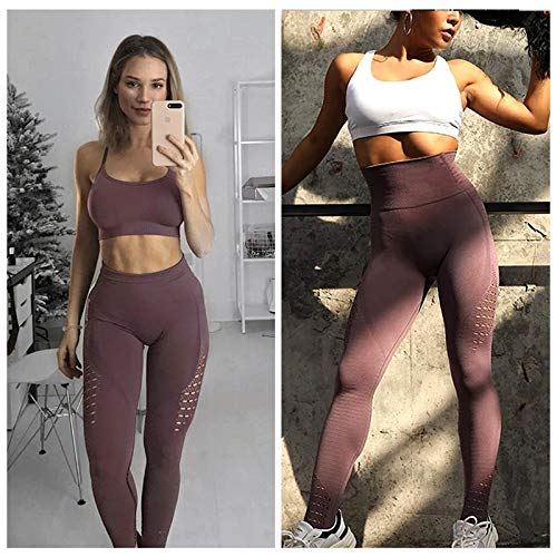 FITTOO Leggings Sin Costuras Corte de Malla Mujer Pantalon Deportivo Alta Cintura Yoga Elásticos Fitness Seamless #1 Morado Medium