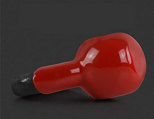FWQAZ Kettlebell Hierro Fundido 2 kg - Pesa Rusa con Revestimiento de Neopreno + PDF Workout (Rojo)