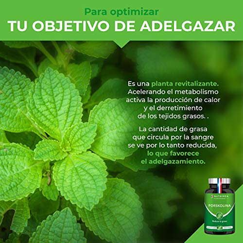 Gaba 750mg/día Relajante Natural | 60 Cápsulas Veganas | Combate Estrés Insomnio y Ansiedad | Fabricado en Francia | Ayuda a Dormir Bien y a Relajarse | Acido Gamma Amino Butírico