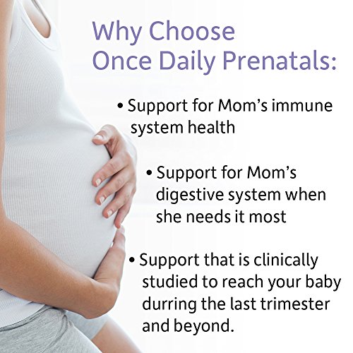 Garden of Life - Establo prenatal del estante de Probiotics Once Daily del Dr. Formulated - 30 cápsulas vegetarianas