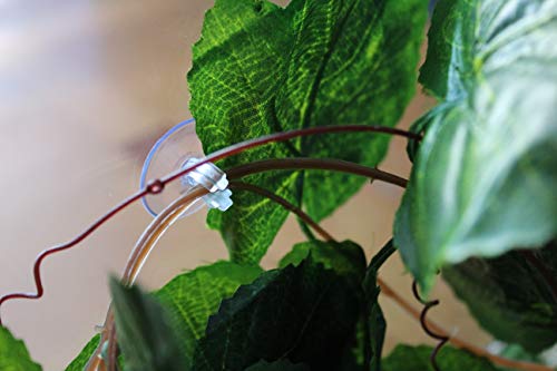 GenRev 2,3 Metros (7,5 pie) Planta Trepadora para Terrario de Reptiles con Ventosas para Jaulas de Dragón Barbudo, Gecko, Lagarto o Serpiente-Incluye Plato Alimentador para Agua