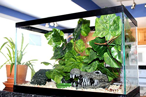 GenRev 2,3 Metros (7,5 pie) Planta Trepadora para Terrario de Reptiles con Ventosas para Jaulas de Dragón Barbudo, Gecko, Lagarto o Serpiente-Incluye Plato Alimentador para Agua