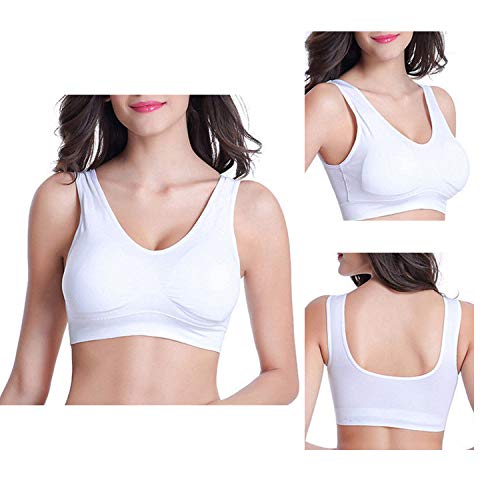 Glamexx24 Estiramiento sin Costuras para Mujer sin Planchar Push up Yoga Sports Bra Top Set de 3 Entrenamientos de Fitness